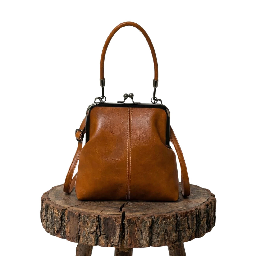 Martina’s Vintage Frame | Handbag